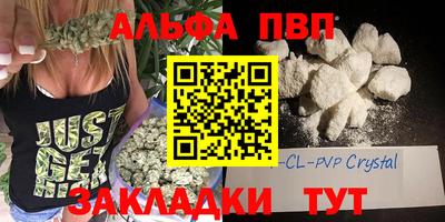 индика Ставрополь