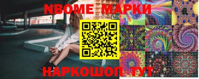 индика Ставрополь