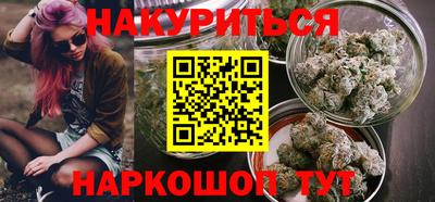 индика Ставрополь