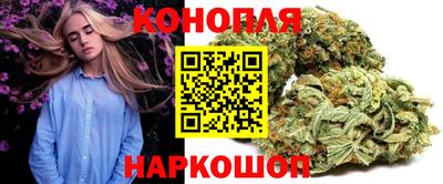 индика Ставрополь
