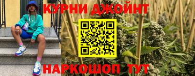 индика Ставрополь